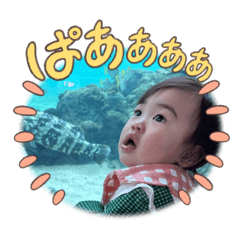 Shiho_20251211135306