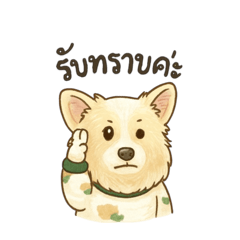 Yammy_20251211094645