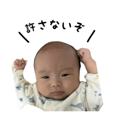 koara_20251211000222