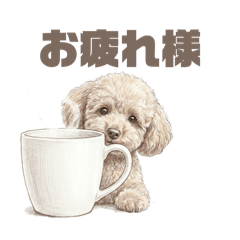 Yuyann_20251210225919