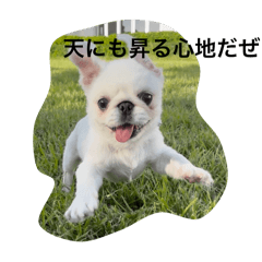 poripori_20251211000727