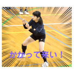 seki_202512110608285