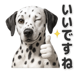 【敬語】使いやすい！ダルメシアン