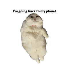 Nosy Ramu in English