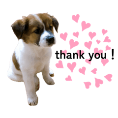 yuka_20251211170251