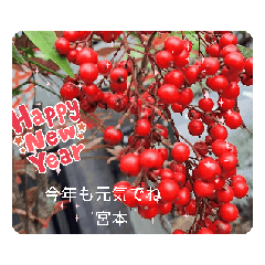 takusutnpu_20251211184351