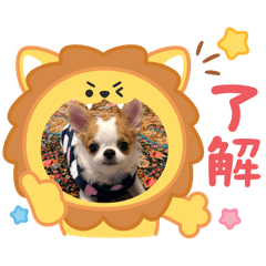 Masakonanakana_20251211141447