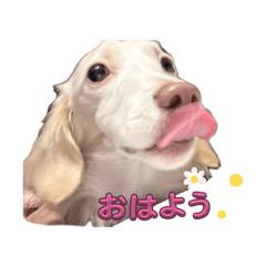 sakuya_20251211142320