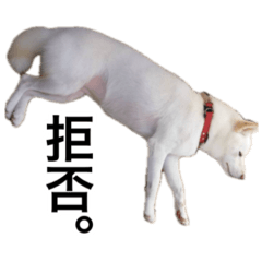 Ayachi_20251211081507