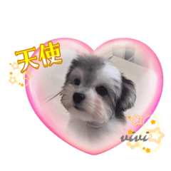 akumi_20251211111047