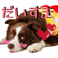 mayupon_20251211174133