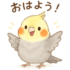 Fluffy Cockatiel Stickers