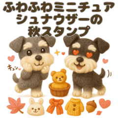 Fluffy Miniature Schnauzers Autumn