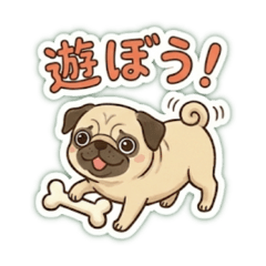 komarin_20251211170152