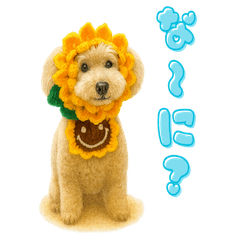 デカプー・やんちゃなポテの癒し時間