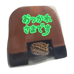 NOBUYUKI_20251211201640