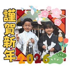 Usage_20251211155102