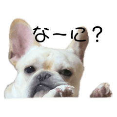 kirari_20251212044012