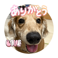 RAIMARU_20251211221705