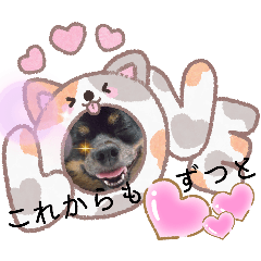 マ　ウ　ロ　ア