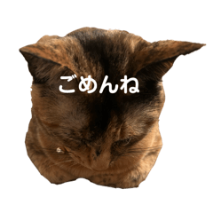 misakura_3_20251211205206