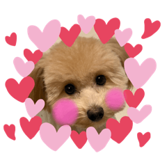 Belle_20251211230124