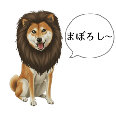 mariagoku_20251209201217