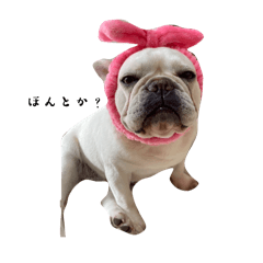 mechi_20251211095345