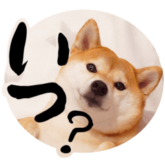 ชิบะอินุใบไม้เปลี่ยนสี12