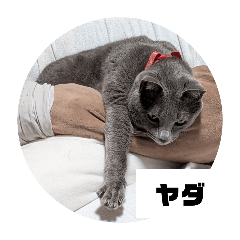 oyabun_20251211185900