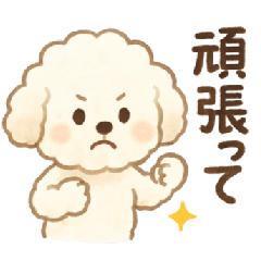 Cute White Toy Poodle Daily Stickers