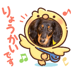 YUKA_20251212103124
