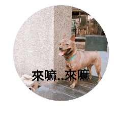 旺來#1
