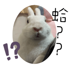 小白搞笑日常0o0