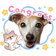 sinra_20251211214451