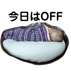 Hanae_20251211214321