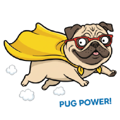 ปั๊ก ( Pug Power )