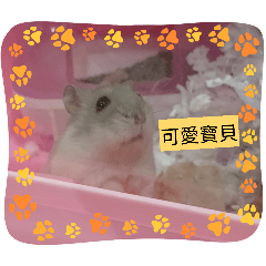 我的可愛鼠寶米菲公主貼圖