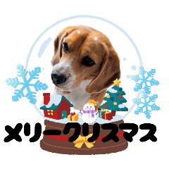 himetama_20251211223116