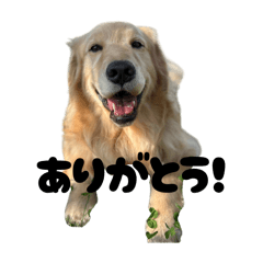 NATSU_20251211223745