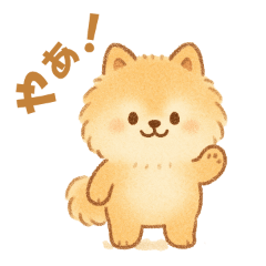 Fluffy Pomeranian Greetings