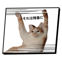 Mimita_20251211233324