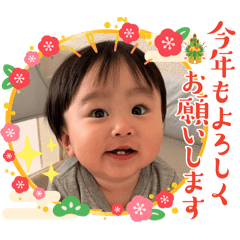 shiho_20251212124903