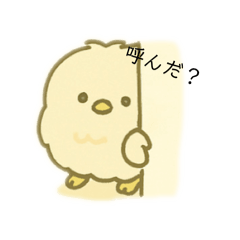 RisaP_20251212135246