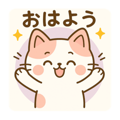 Min-chan the Cozy Cat