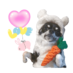 RinHaku_20251212094655