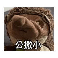 阿肥表情包(small tabby)