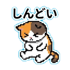 Yusuke Saki_20251212141626