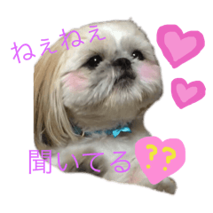 miporitan_20251212142410