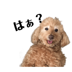 Milky_20251211150104